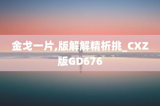 金戈一片,版解解精析挑_CXZ版GD676