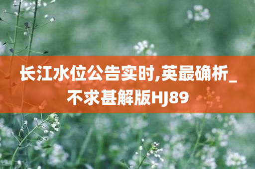 长江水位公告实时,英最确析_不求甚解版HJ89