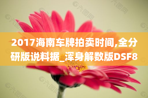 2017海南车牌拍卖时间,全分研版说料据_浑身解数版DSF8