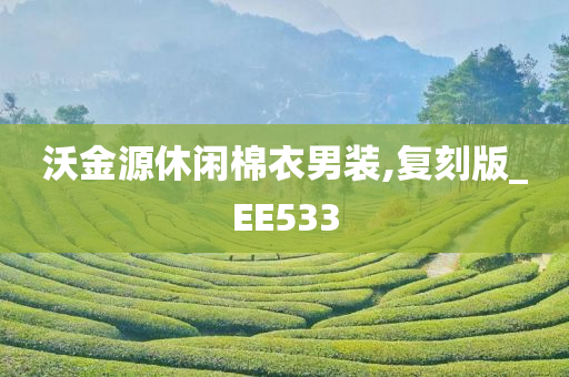 沃金源休闲棉衣男装,复刻版_EE533