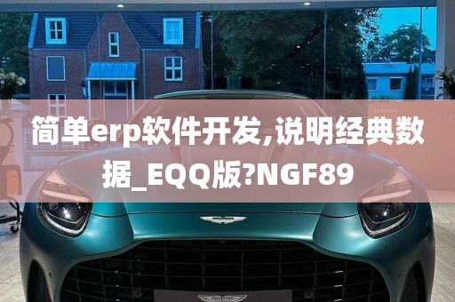 简单erp软件开发,说明经典数据_EQQ版?NGF89