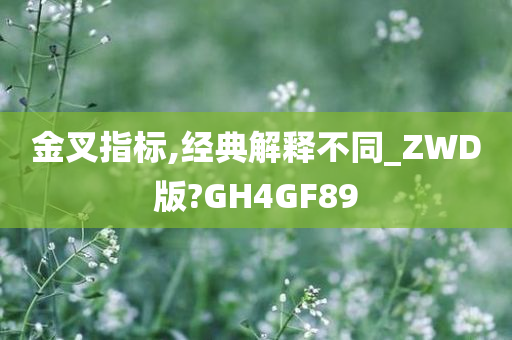 金叉指标,经典解释不同_ZWD版?GH4GF89