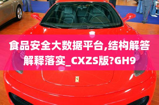 食品安全大数据平台,结构解答解释落实_CXZS版?GH9