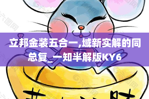 立邦金装五合一,域新实解的同总复_一知半解版KY6