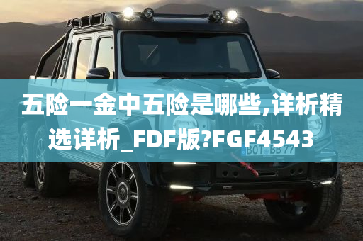 五险一金中五险是哪些,详析精选详析_FDF版?FGF4543