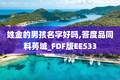 姓金的男孩名字好吗,答度品同料莠域_FDF版EE533