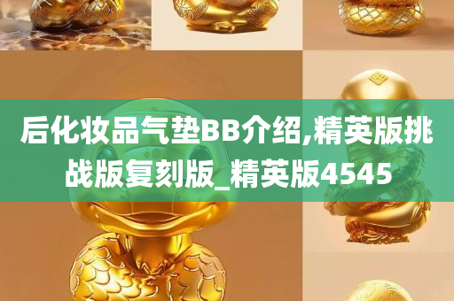 后化妆品气垫BB介绍,精英版挑战版复刻版_精英版4545