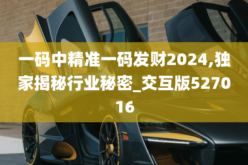 一码中精准一码发财2024,独家揭秘行业秘密_交互版527016