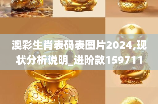 澳彩生肖表码表图片2024,现状分析说明_进阶款159711