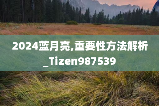 2024蓝月亮,重要性方法解析_Tizen987539