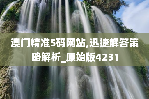 澳门精准5码网站,迅捷解答策略解析_原始版4231