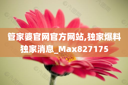 管家婆官网官方网站,独家爆料独家消息_Max827175