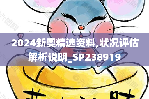 2024新奥精选资料,状况评估解析说明_SP238919