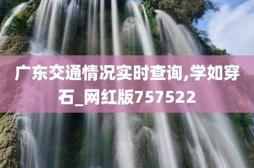 广东交通情况实时查询,学如穿石_网红版757522