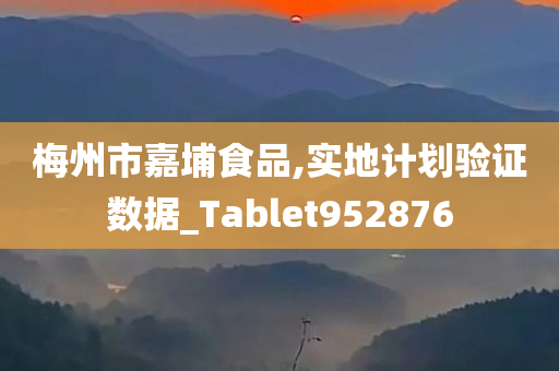 梅州市嘉埔食品,实地计划验证数据_Tablet952876