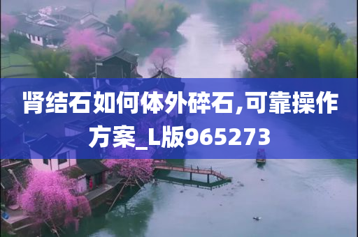 肾结石如何体外碎石,可靠操作方案_L版965273