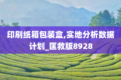 印刷纸箱包装盒,实地分析数据计划_匡救版8928