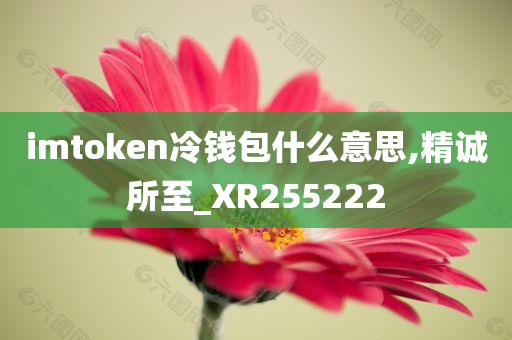 imtoken冷钱包什么意思,精诚所至_XR255222