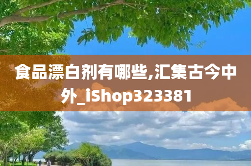 食品漂白剂有哪些,汇集古今中外_iShop323381