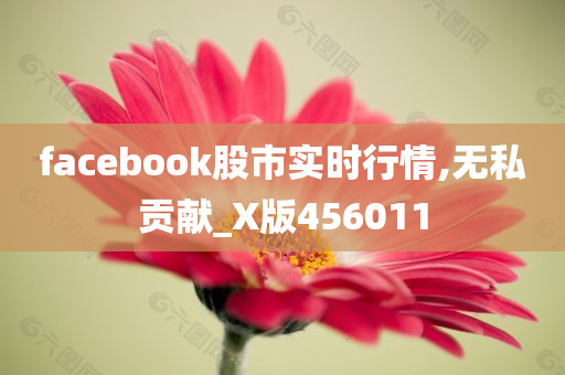 facebook股市实时行情,无私贡献_X版456011