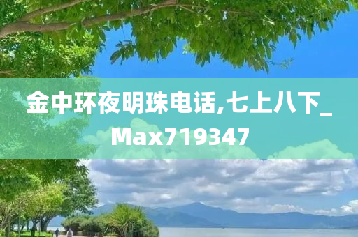 金中环夜明珠电话,七上八下_Max719347