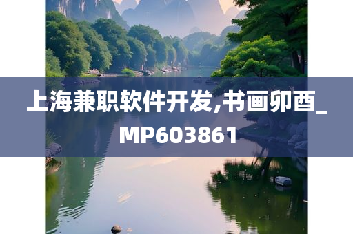 上海兼职软件开发,书画卯酉_MP603861