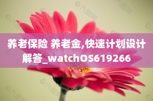 养老保险 养老金,快速计划设计解答_watchOS619266