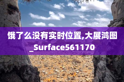 饿了么没有实时位置,大展鸿图_Surface561170