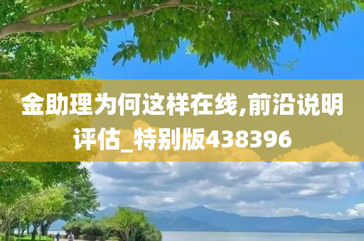 金助理为何这样在线,前沿说明评估_特别版438396