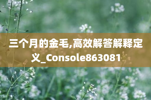 三个月的金毛,高效解答解释定义_Console863081