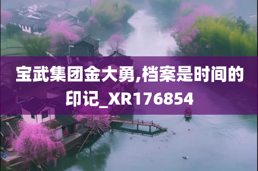 宝武集团金大勇,档案是时间的印记_XR176854