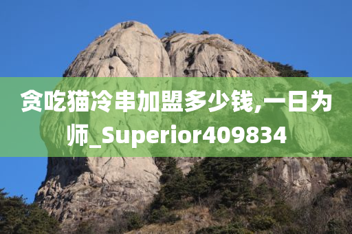 贪吃猫冷串加盟多少钱,一日为师_Superior409834