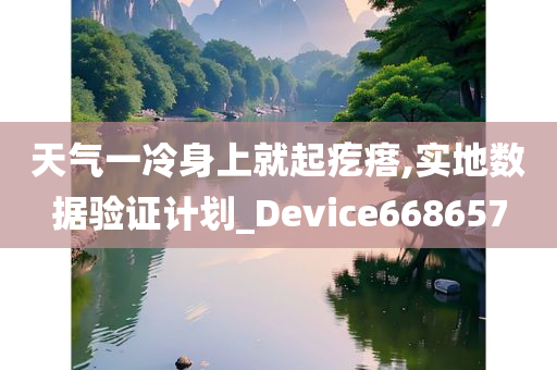 天气一冷身上就起疙瘩,实地数据验证计划_Device668657