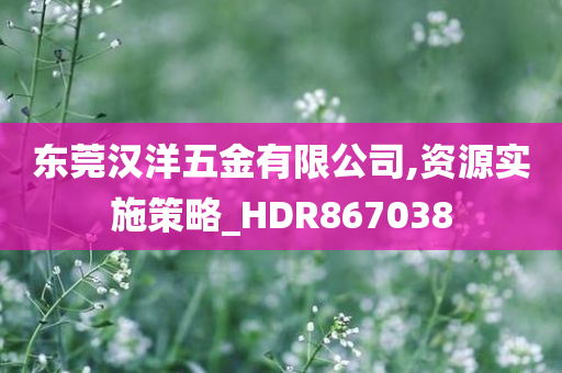 东莞汉洋五金有限公司,资源实施策略_HDR867038