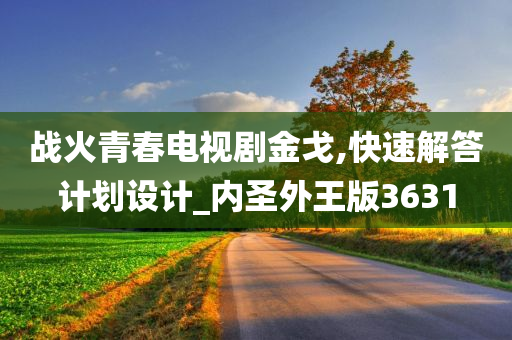 战火青春电视剧金戈,快速解答计划设计_内圣外王版3631