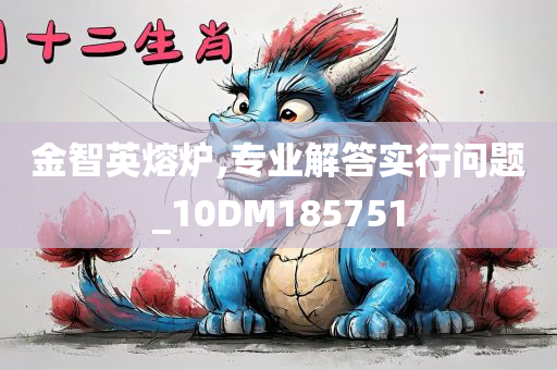 金智英熔炉,专业解答实行问题_10DM185751