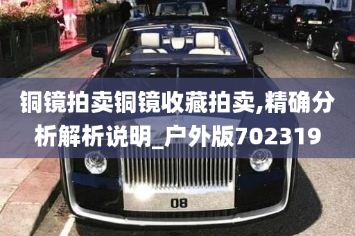 铜镜拍卖铜镜收藏拍卖,精确分析解析说明_户外版702319