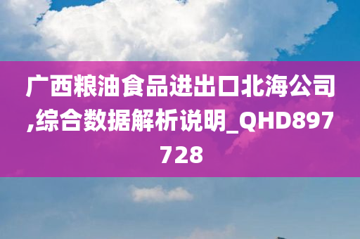 广西粮油食品进出口北海公司,综合数据解析说明_QHD897728