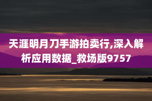 天涯明月刀手游拍卖行,深入解析应用数据_救场版9757