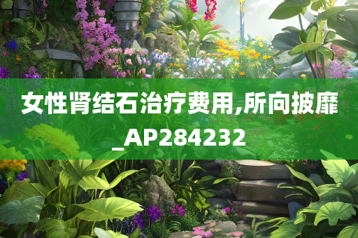 女性肾结石治疗费用,所向披靡_AP284232