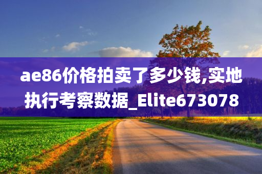 ae86价格拍卖了多少钱,实地执行考察数据_Elite673078