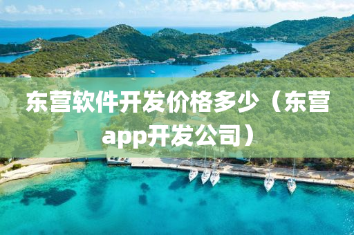 东营软件开发价格多少（东营app开发公司）