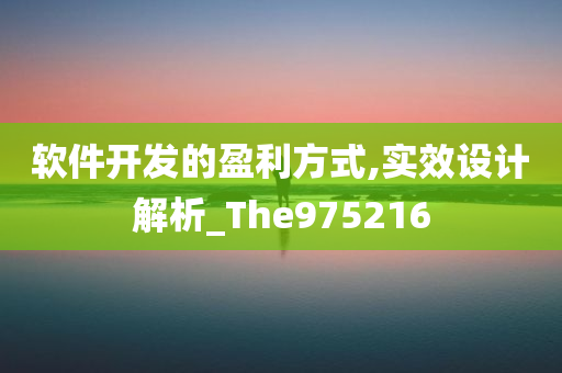 软件开发的盈利方式,实效设计解析_The975216