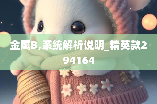 金鹰B,系统解析说明_精英款294164