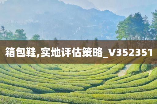 箱包鞋,实地评估策略_V352351