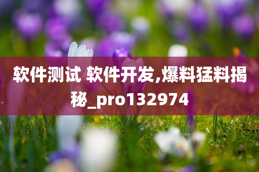 软件测试 软件开发,爆料猛料揭秘_pro132974