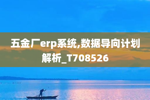 五金厂erp系统,数据导向计划解析_T708526