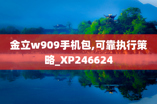 金立w909手机包,可靠执行策略_XP246624