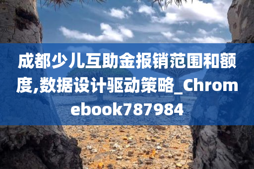 成都少儿互助金报销范围和额度,数据设计驱动策略_Chromebook787984