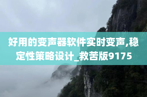 好用的变声器软件实时变声,稳定性策略设计_救苦版9175